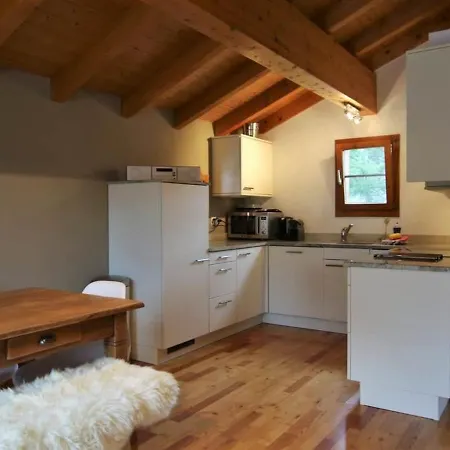 Apartment Mountain Village 10